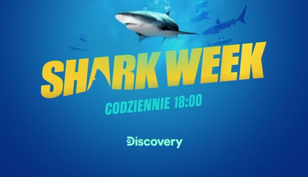 Shark Week – tydzień z rekinami na Discovery Channel i Playerze!